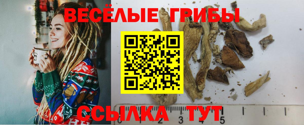 Галлюциногенные грибы мухоморы Ковров